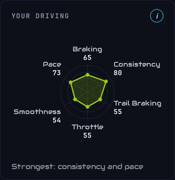 Your driving: a radar of six traits