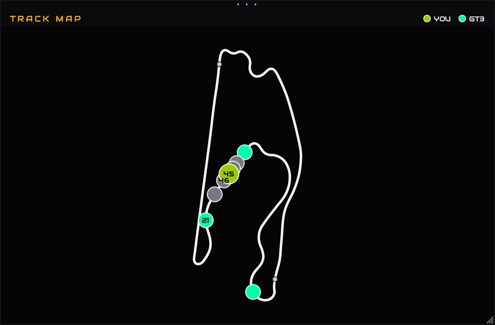 Live track map